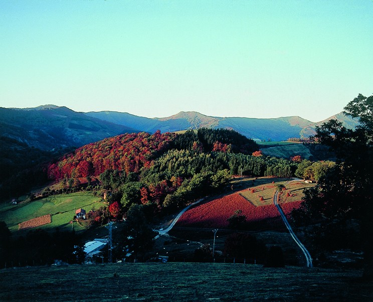 2879.jpg